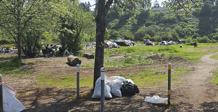 Dozens of tents at a homeless camp were set up last week on the east side of NE Andresen Road along the Burnt Bridge Creek Trail. On Wednesday, that site was cleaned up by the city … only to have residents of that site relocate across the street. Photo by Paul Valencia