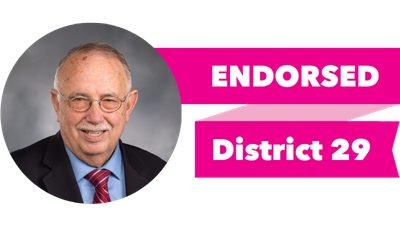 Headshot of Steve Conway with pink banner reading: Endorsed, District 29